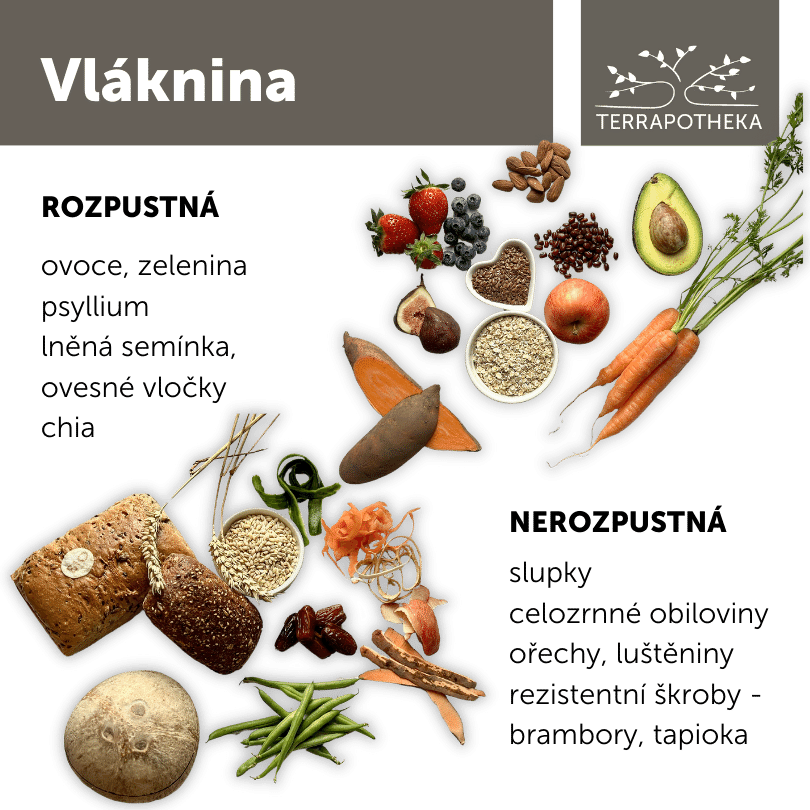 vláknina v potravinách