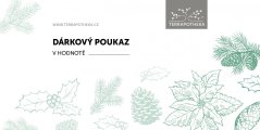 Dárkový poukaz - vánoční motiv