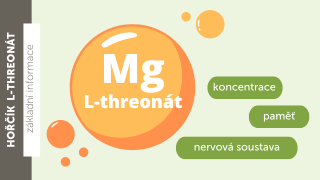 Hořčík L-treonát (magtein®)