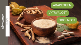 Co je to adaptogen?