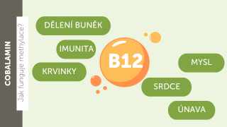 Vitamín B12