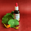 Lichořeřišnice Salvia Paradise - bezalkoholová tinktura 50 ml