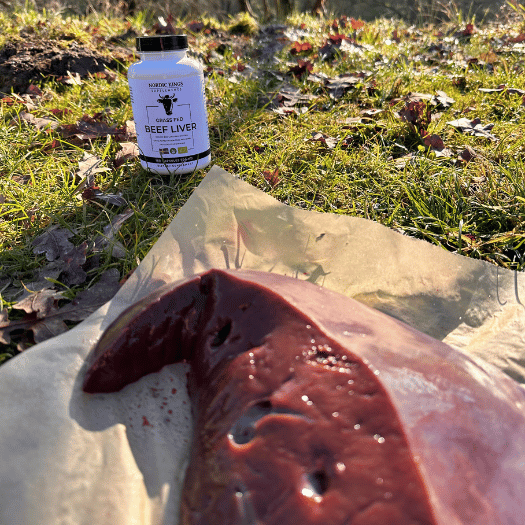 Nordic Kings BIO hovězí játra grass-fed 180 kapslí