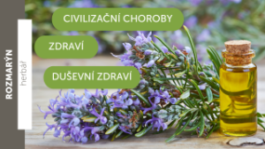 Rozmarýn: Zázračná bylina s výjimečnými vlastnostmi