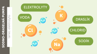Jak efektivně omezit solení