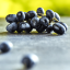 Trans-Resveratrol – 120 kapslí