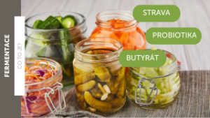 Fermentace čili kvašení - téměř zapomenutý tradiční zázrak