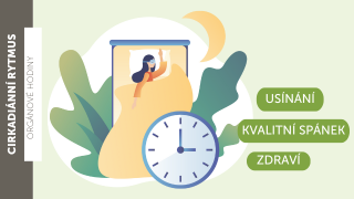 Cirkadiánní rytmus - orgánové hodiny