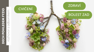 Dech očima fyzioterapeuta