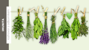 Jak zlepšit imunitu