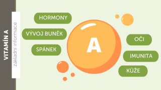 Funkce vitamínu A neboli retinolu