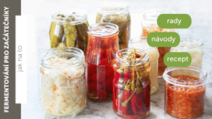 Jak zdolat výzvy fermentace?