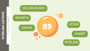Vitamín B9 (kyselina listová, folát)