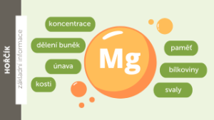 Hořčík (magnezium)