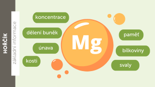 Hořčík (magnezium)