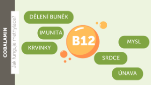 Vitamín B12
