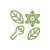Herbář
