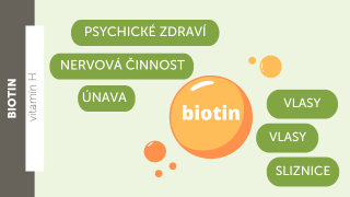 Vše, co potřebujete vědět o biotinu
