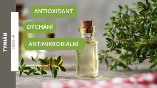 Tymián - drobná bylinka s velkou silou