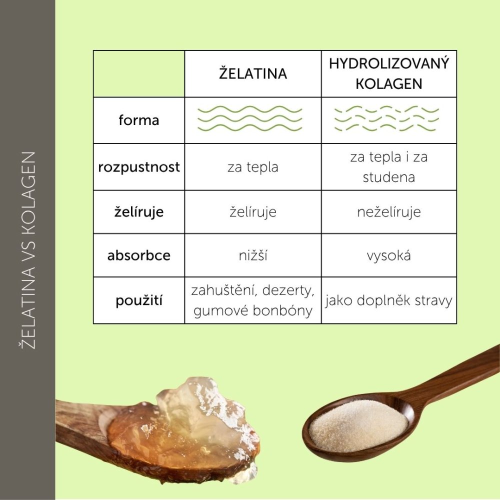 kolagen vs želatina rozdíly a benefity