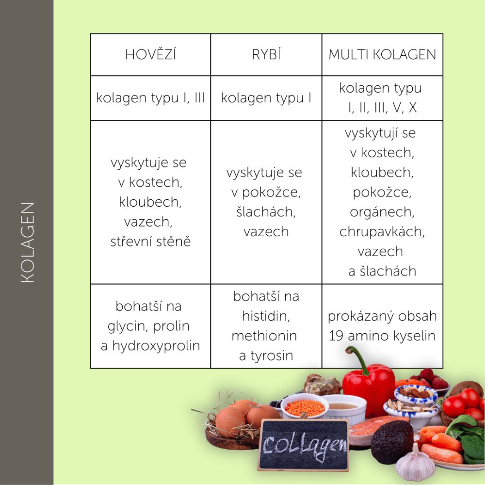 Přírodní kolagen