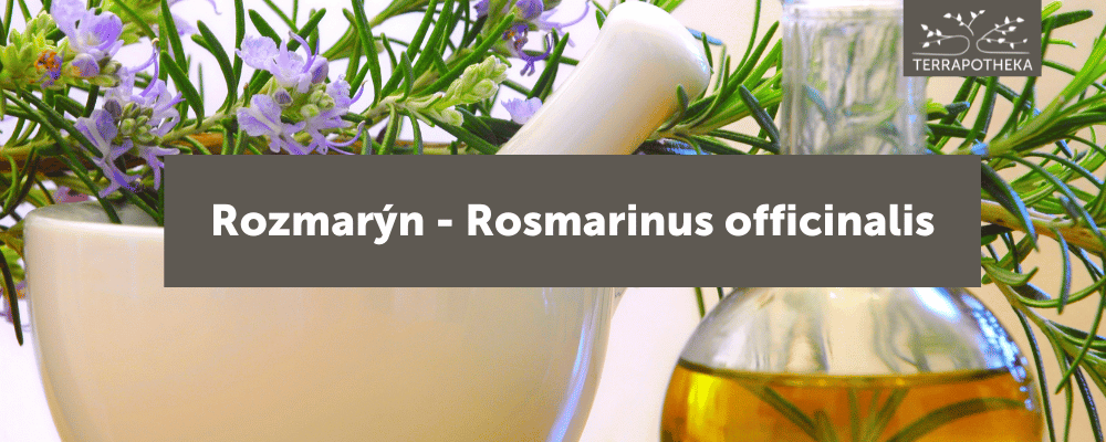 Terrapotheka - bio rozmarýn