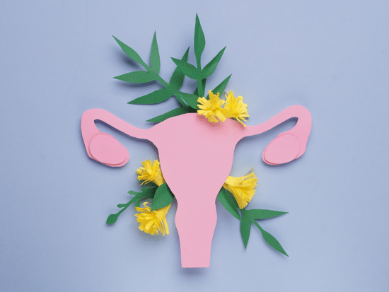 Terrapotheka - inositol PCOS